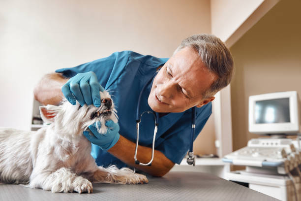 Best Emergency Tooth Extraction in Cottonwood Shores, TX